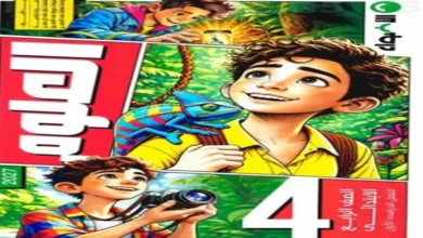 كتاب الاضواء علوم الصف الرابع الابتدائي الترم الاول 2027