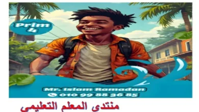 المراجعة النهائية انجليزي للصف الرابع الابتدائي الترم الاول 2026